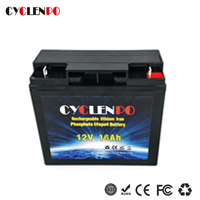 deep cycle lithium battery 12V 20Ah lifepo4 for e bike