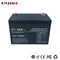 12V 100ah LiFePo4 battery