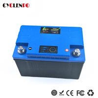 12V 8AH LiFePO4 Rechargeable Battery Pack for solar system